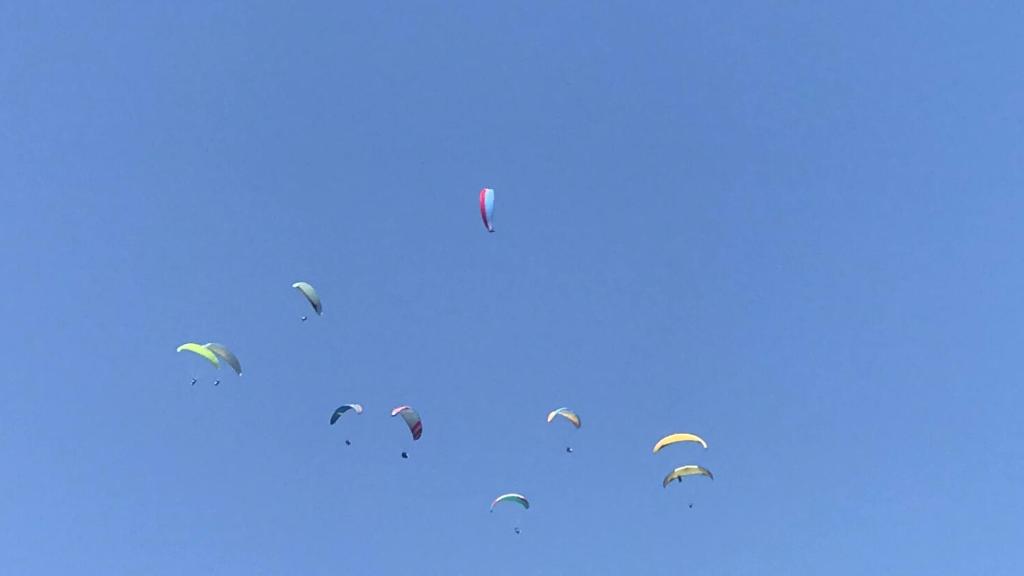 Hosté ubytování Hidden leaf Guesthouse