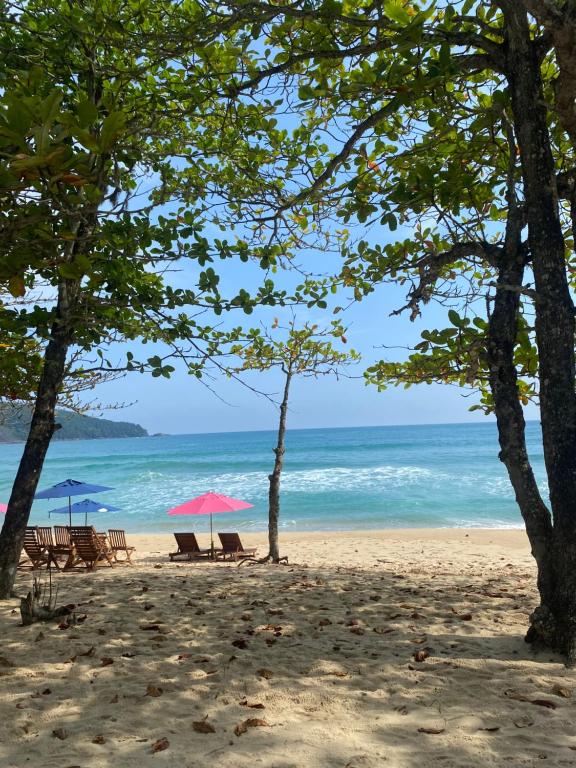 Naturlandskabet i nærheden af feriehuset