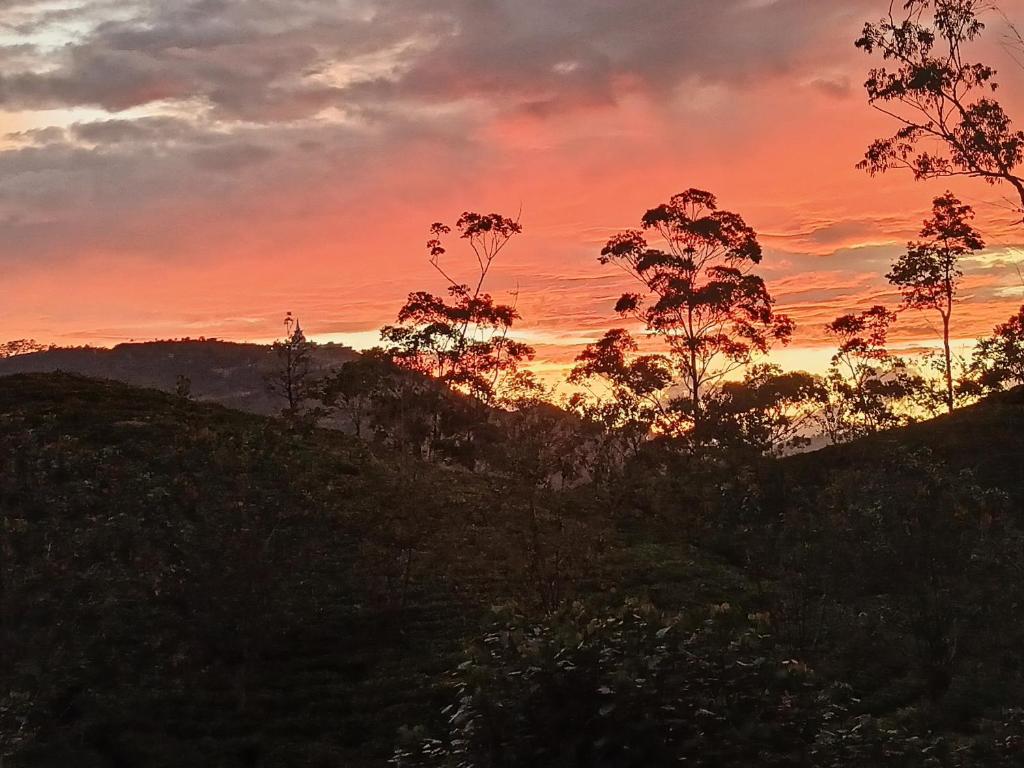 Příroda nedaleko luxury tent