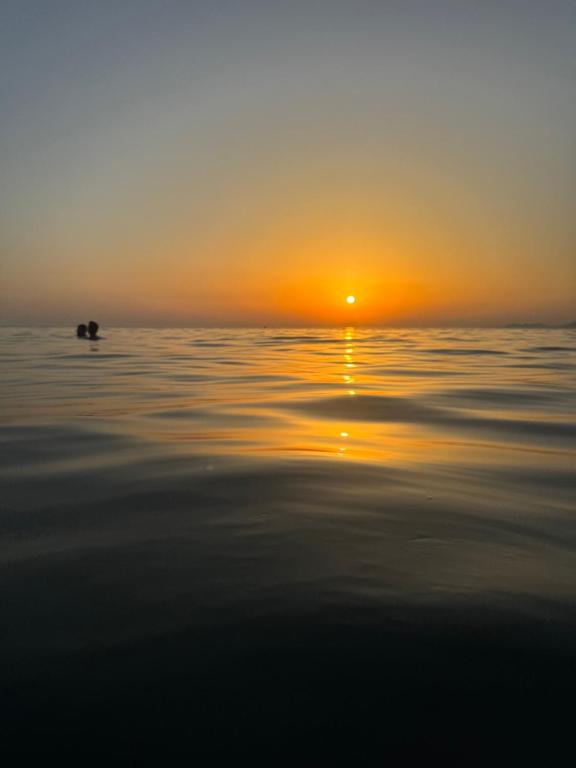 Phong cảnh thiên nhiên gần căn hộ