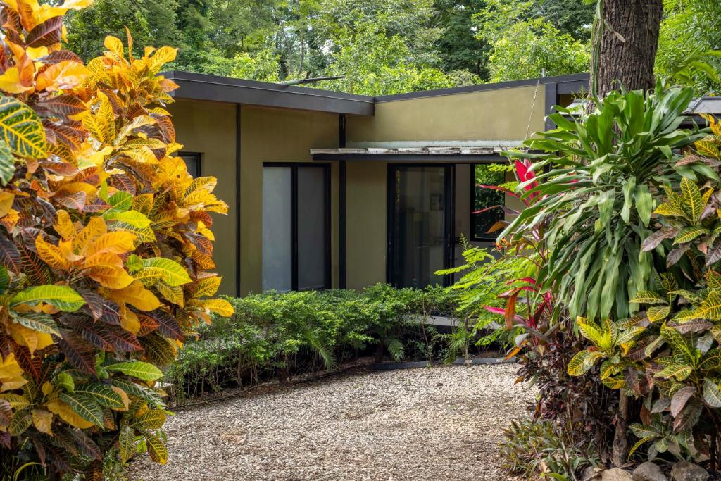 a house surrounded by plants and trees at Casa Playa Avellanas in Playa Avellana