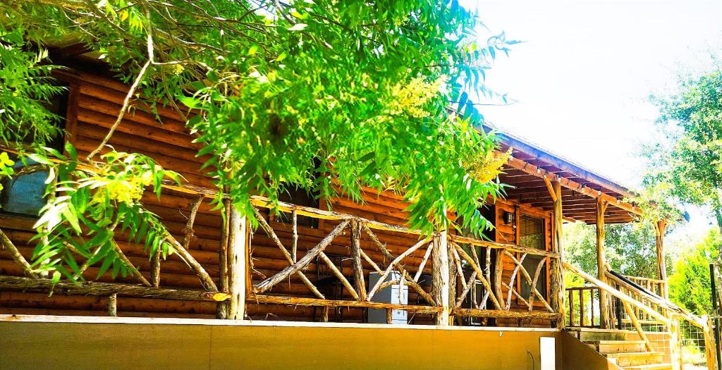 a wooden cabin with a tree in front of it at MeMaws Country Cabin in Pipe Creek