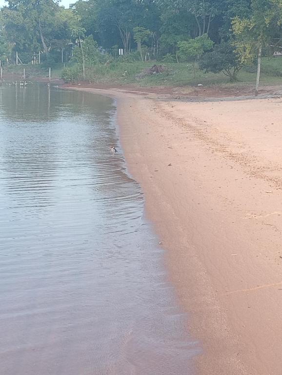 un uccello che si erge su una spiaggia vicino all'acqua di Rincón de Santa Tecla a Puerto Valle