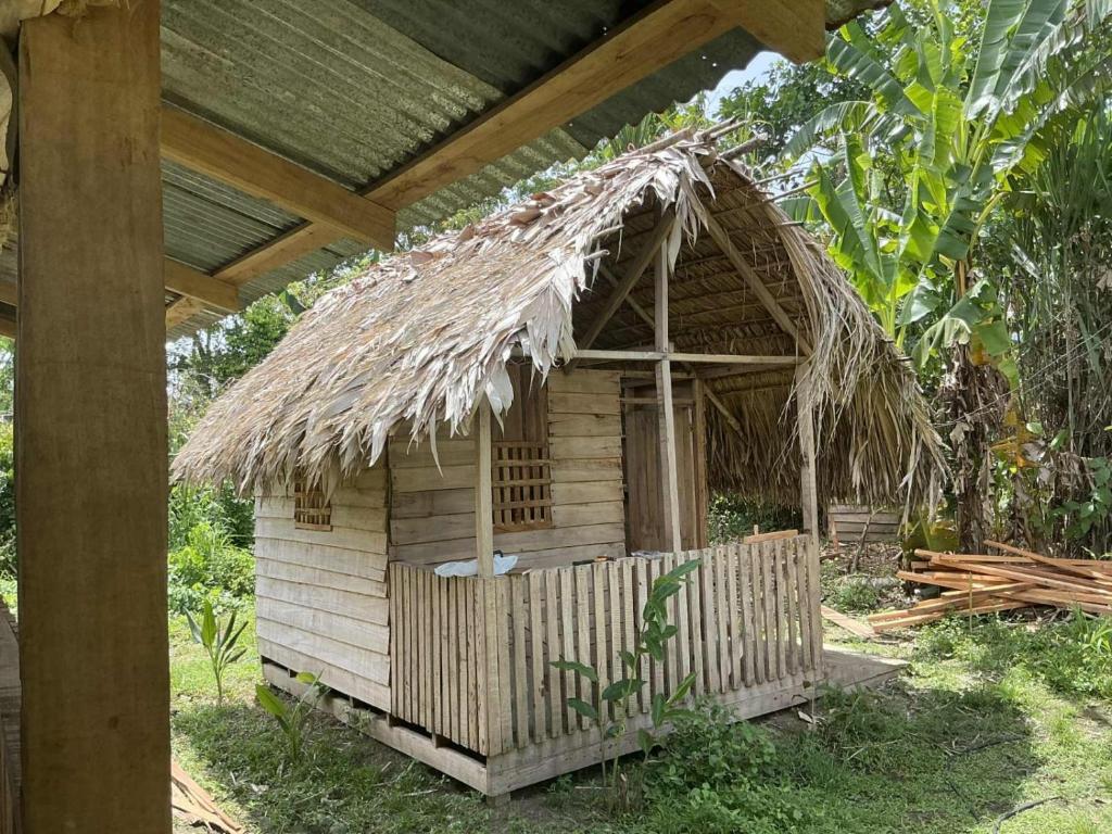 Κήπος έξω από το 1-Ter-Connexion