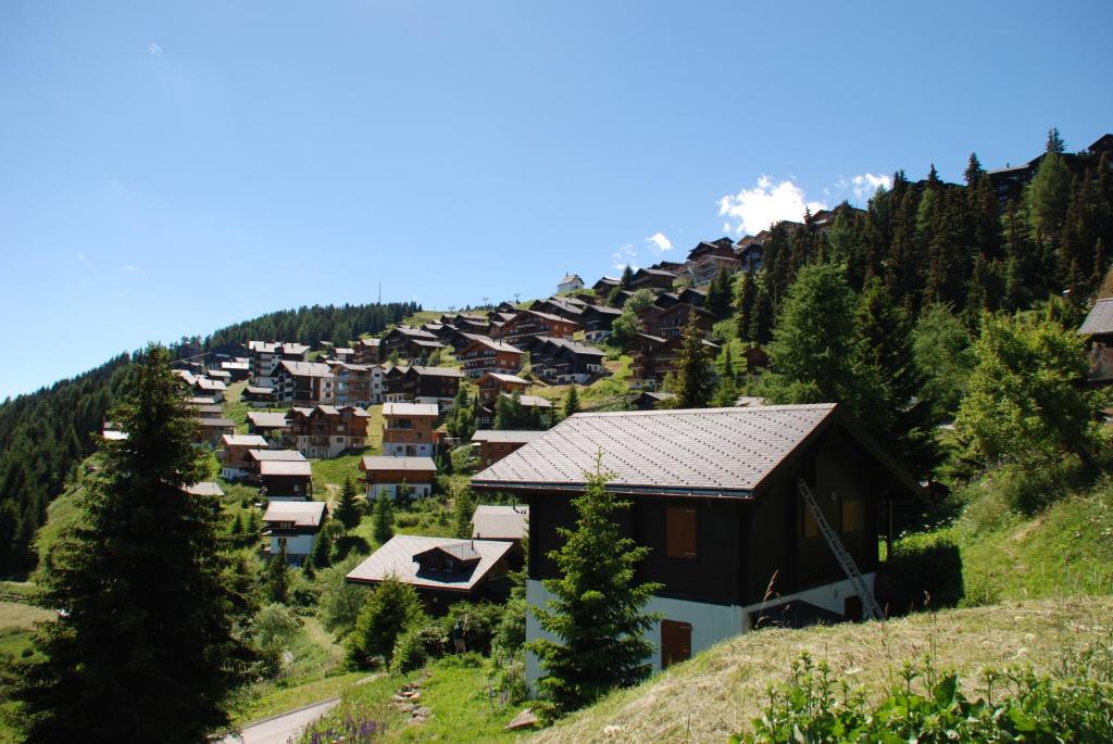 Příroda nedaleko apartmánu