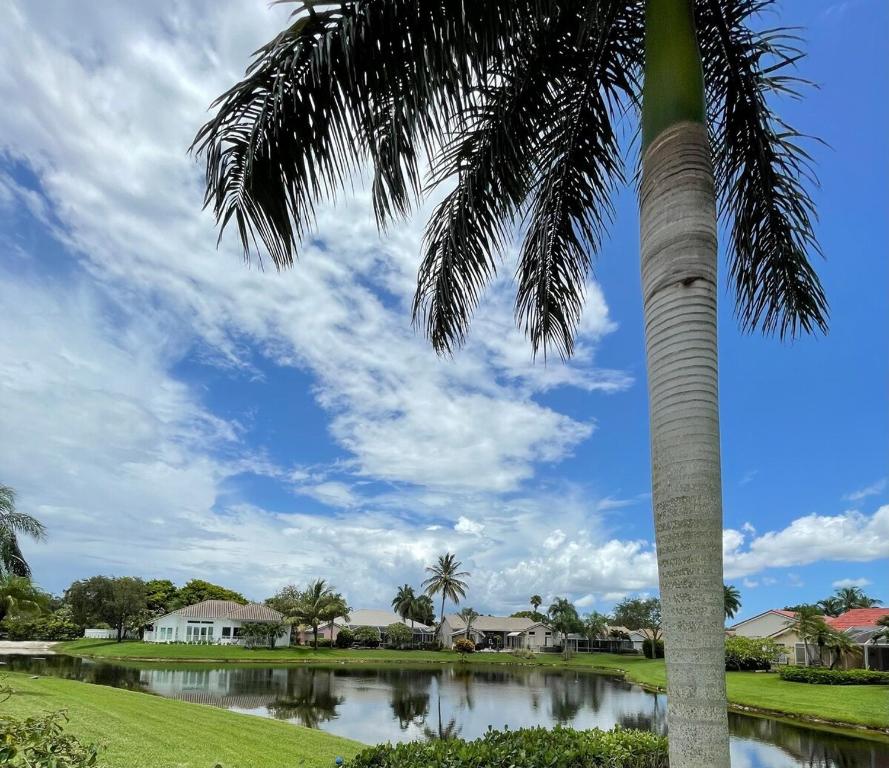 a palm tree in front of a pond at Lux 4 bedroom home on lake with pool! in Coral Springs