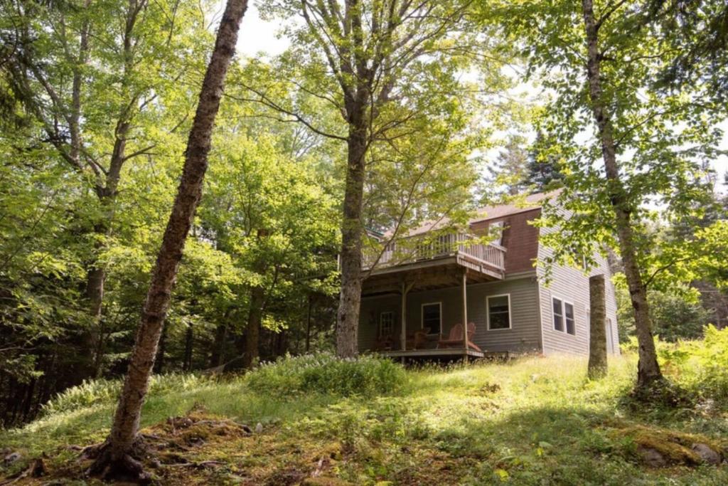 a house in the middle of the woods at Secluded Cabin With Ocean Access in Seal Cove