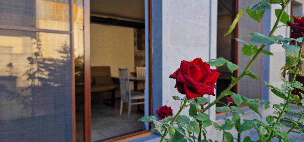 a red rose in a vase next to a window at Zeytoun Guest House in Yerevan