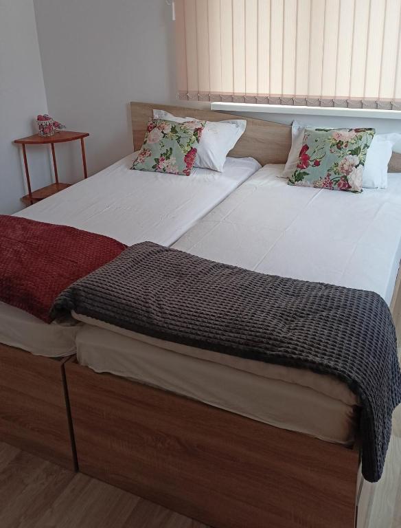 カザンラクにあるАпартамент за гости Казанлъкのツインベッド2台付きの客室