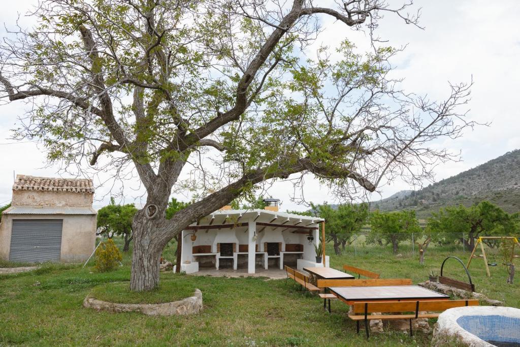 ein Picknicktisch unter einem Baum neben einem Gebäude in der Unterkunft Rural Casa Caravaca, 1º, Campo San Juan in La Risca