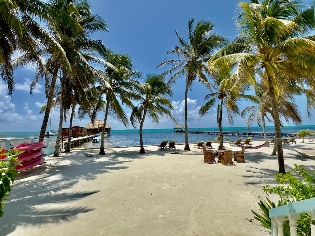 Příroda nedaleko aparthotelu