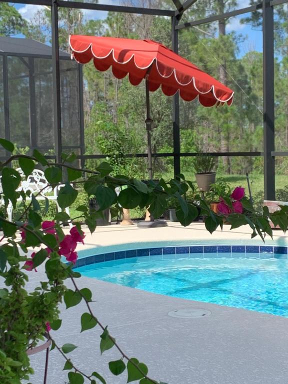 a swimming pool with a red umbrella and some flowers at Rooms SWEET Rooms in Davenport