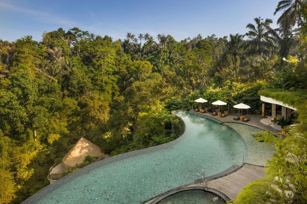 德格拉朗Cicada Resort Bali Ubud, Autograph Collection的度假村泳池的鸟瞰图