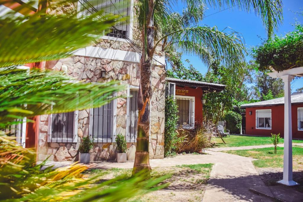 a house with a palm tree in front of it at las moraditas in Chascomús