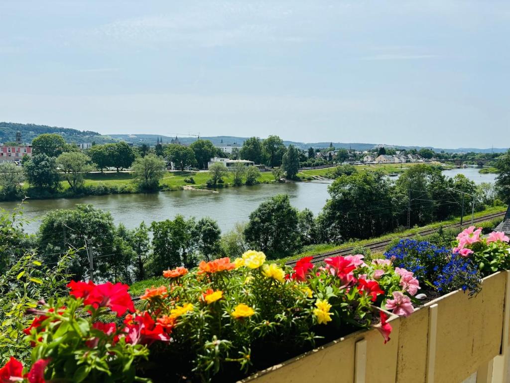 Spacious 72 sqm Moselblick apartment & top connection في ترير: اطلاله على نهر من بلكونه مع ورود