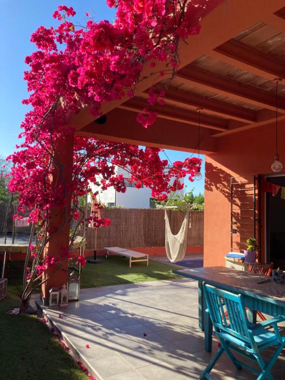 a tree with pink flowers hanging over a patio at Skydiversnestdotcom in Bollullos de la Mitación