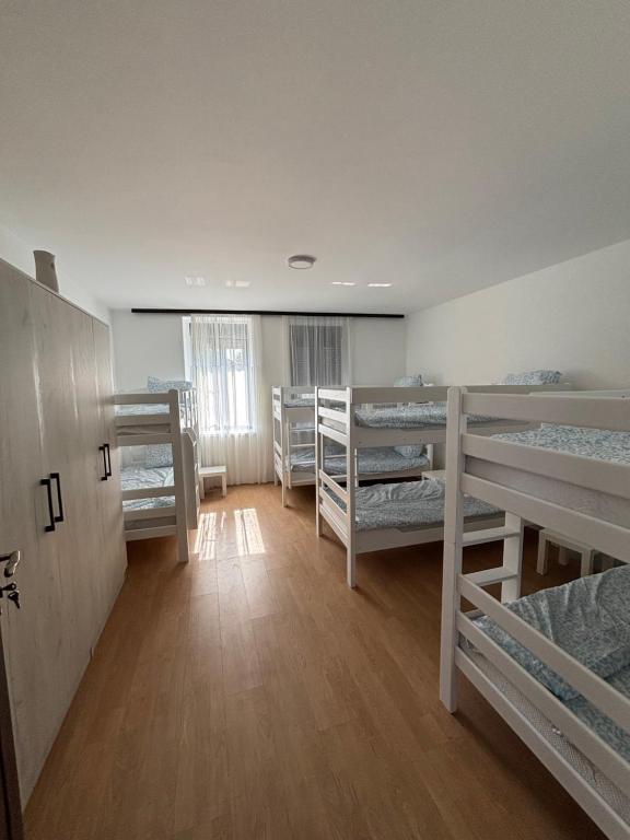 a dorm room with several bunk beds in it at Hostel 164 in Beograd