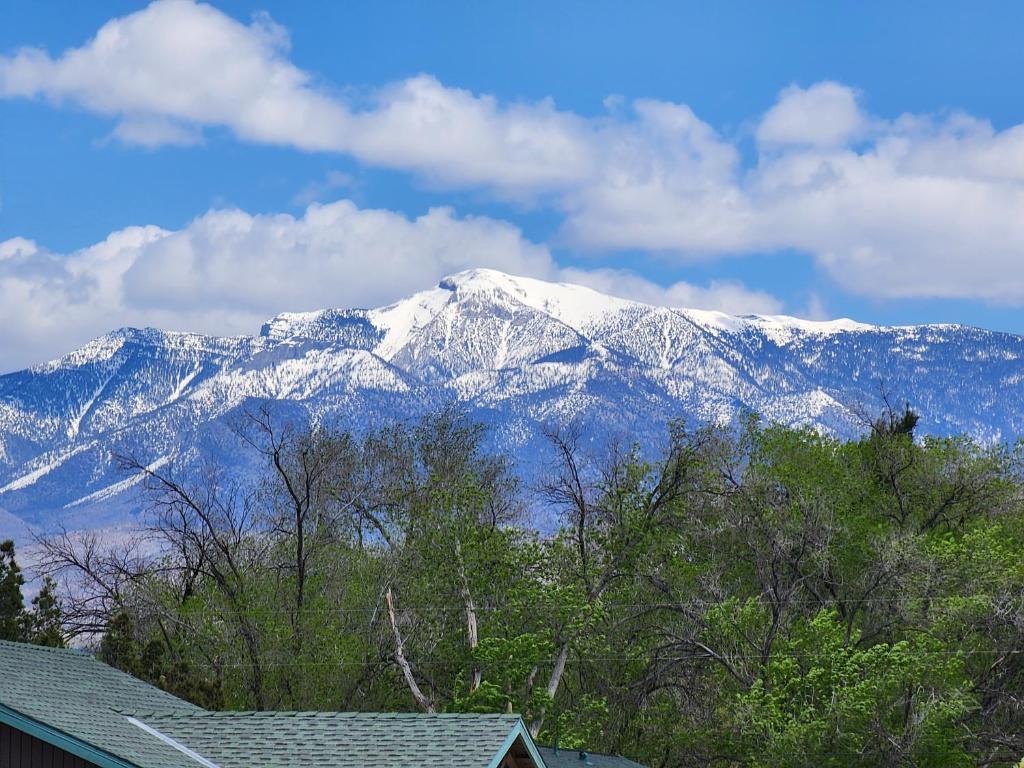 een met sneeuw bedekte berg met bomen voor een huis bij Sunrise Springs in Pahrump