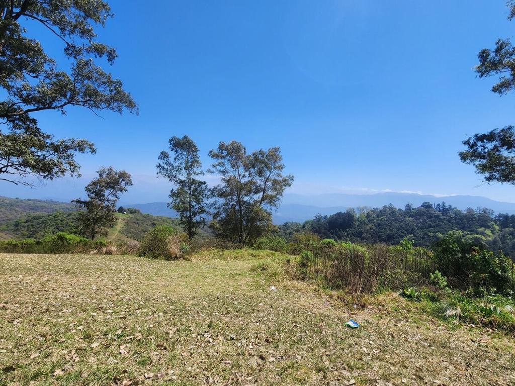 ein Feld mit Bäumen und Bergen im Hintergrund in der Unterkunft San Javier Cottage in Yerba Buena