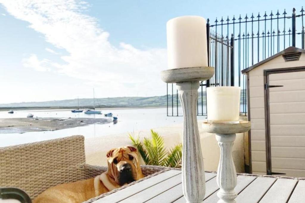 ダンガーバンにあるDog-friendly Seaview Apartmentの2本のろうそくの横のテーブルに横たわる犬