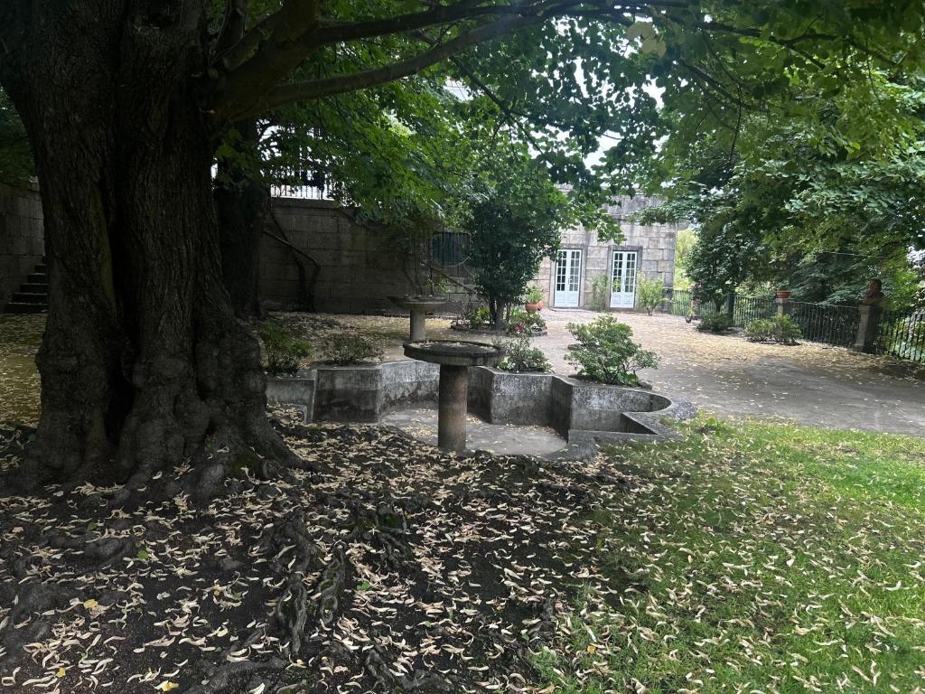 een park met een bank onder een boom bij Casa Do Refugio Guest House in Covilhã