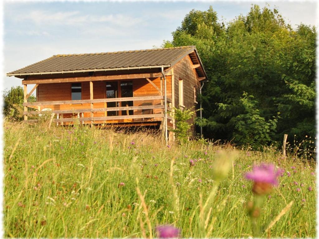 a wooden cabin in a field of grass at Chalet au calme avec terrasse, acceptant les animaux, parking et Wi-Fi inclus - FR-1-584-108 in Velle-sur-Moselle