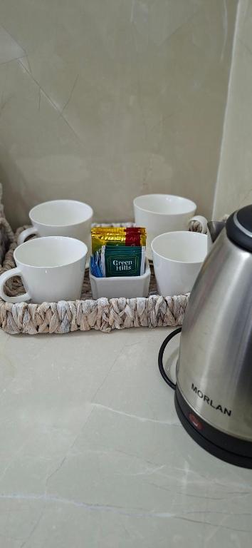 a tray with bowls and a kettle on a counter at Apart Brumato in Catriel