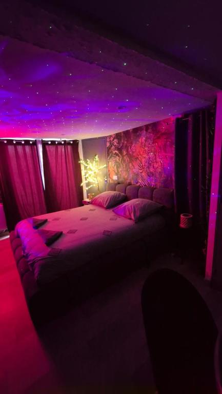 ein Schlafzimmer mit einem Bett mit violettem Licht in der Unterkunft LoveRoom le moutik du bord de mer avec SPA et sauna parking gratuit in Lampaul-Plouarzel