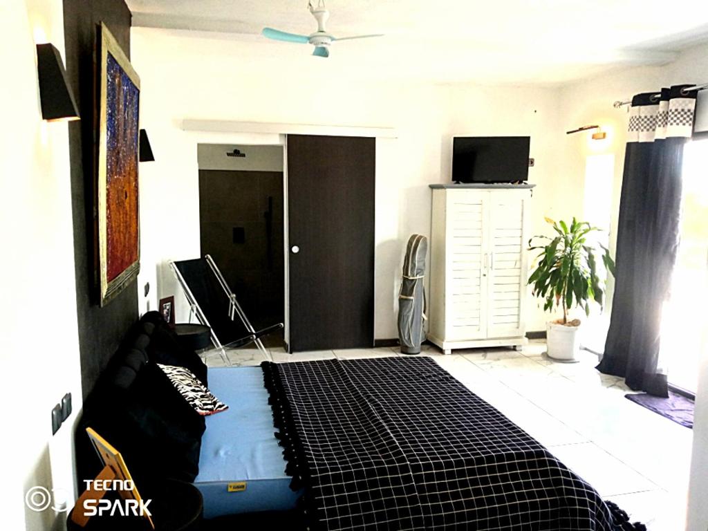 a living room with a bed and a tv at Studio vue sur brousse in Toliara