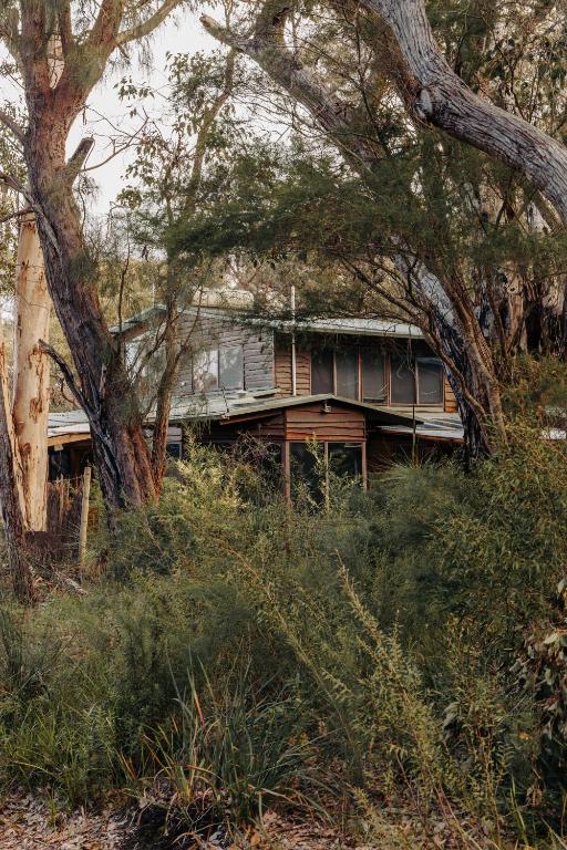 a house sitting on top of a hill with trees at Bimbi Forest Eco Lodge - Denmark in Denmark