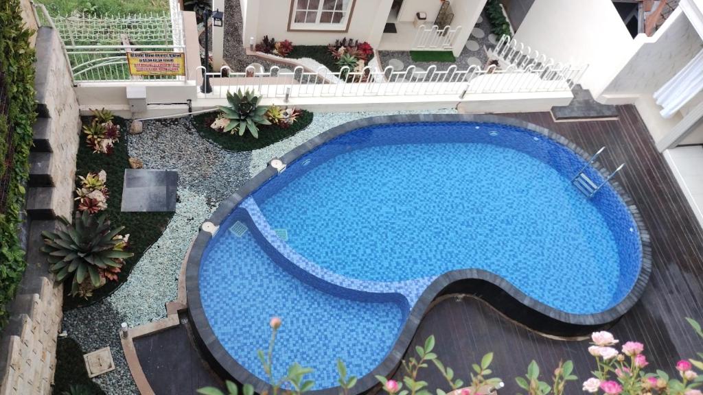 an overhead view of a large blue swimming pool at Maison Belle Villa in Tlekung