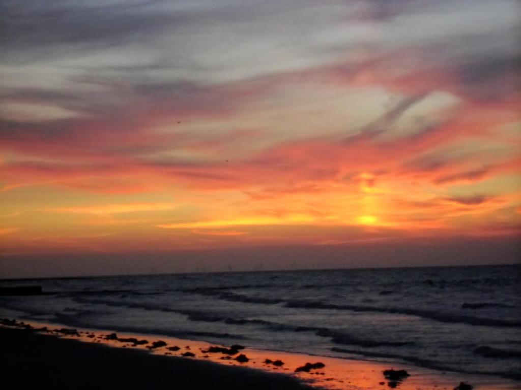 a sunset over the ocean with birds on the beach at Andorinho Sea View Apartment in Margate