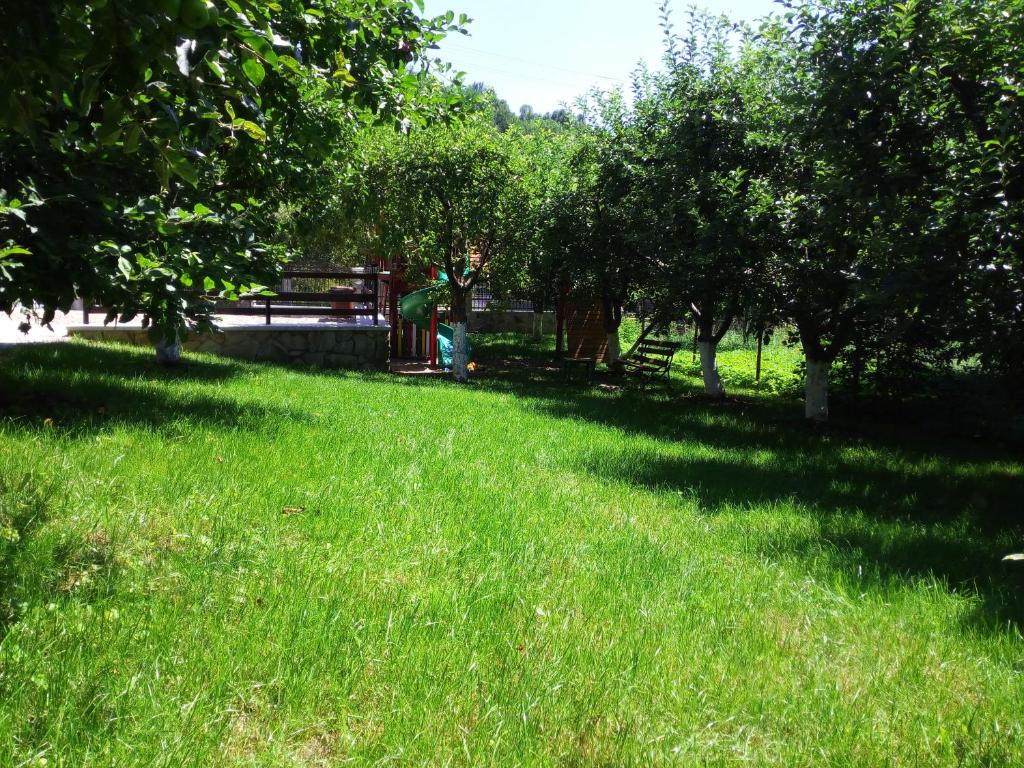 Zahrada ubytování Vila Slanic