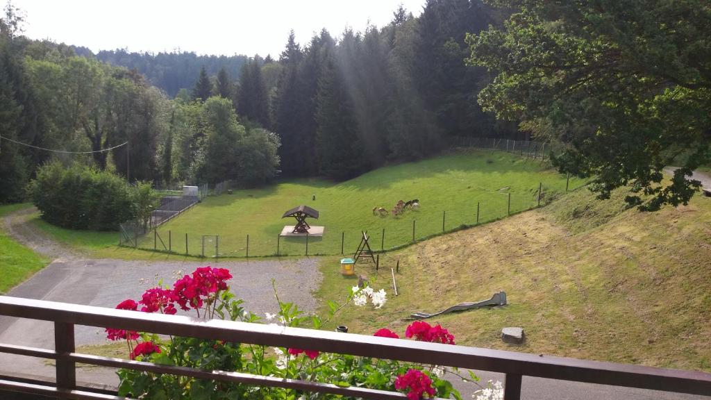 Příroda nedaleko hotelu