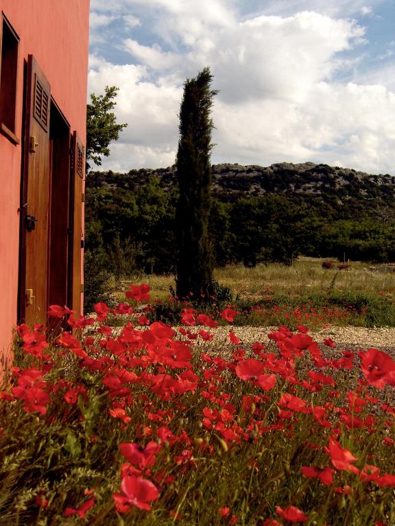 Zahrada ubytování Maison Rouge