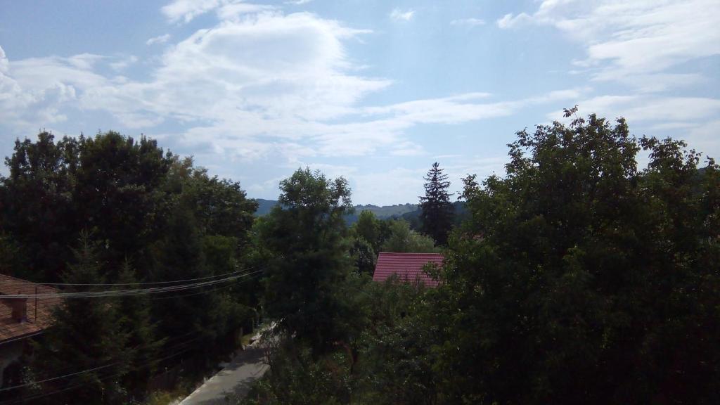 Příroda nedaleko penzionu