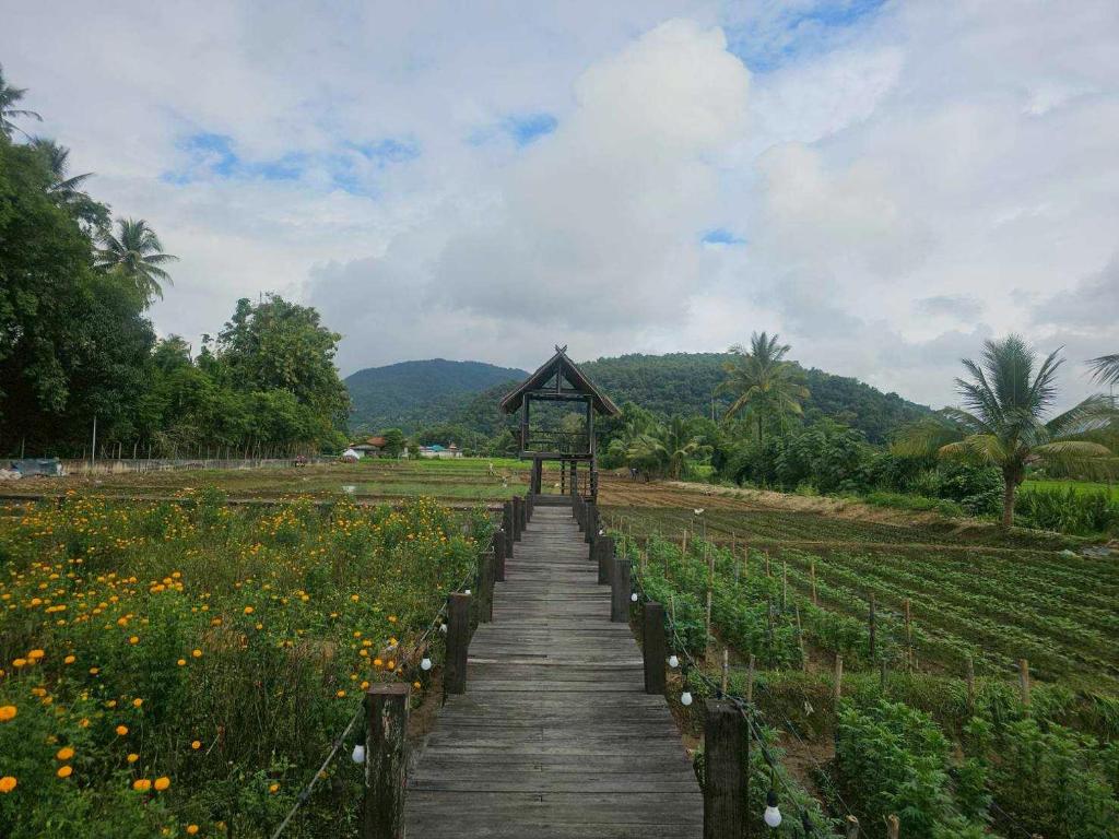 a wooden pathway leading to a field of flowers at Banna Cafe & Glamping บ้านนา คาเฟ่ แอนด์ แกรมปิ้ง in Fang