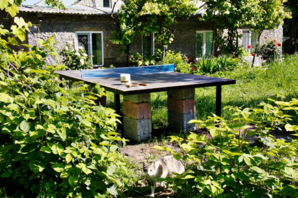 una mesa de ping pong en medio de un patio en Old farm 1, en Ijevan