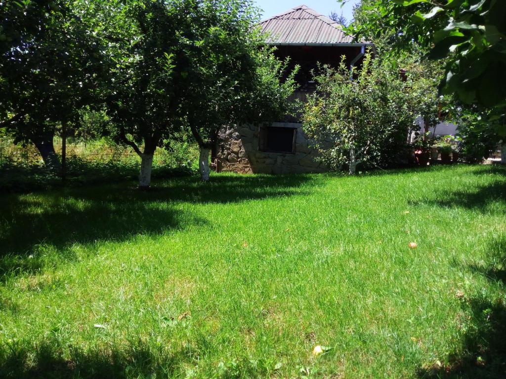 Zahrada ubytování Vila Slanic