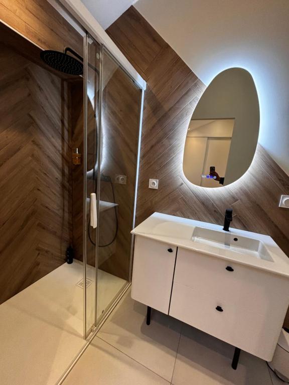 a bathroom with a white sink and a mirror at Appartement cosy une chambre in Charnècles