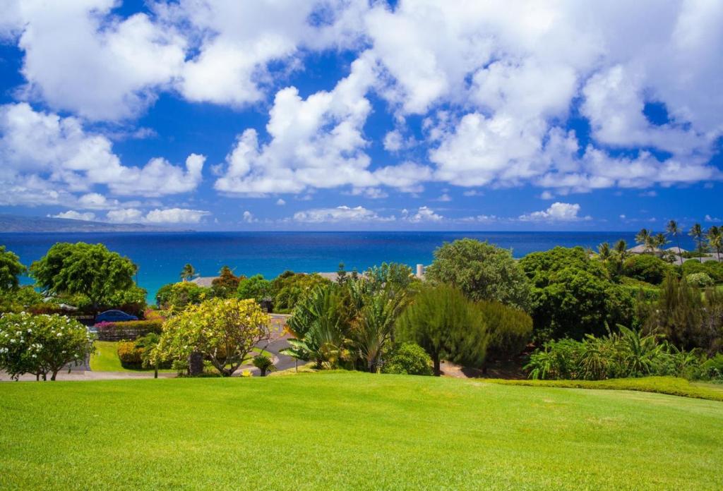 a view of a park with the ocean in the background at 412 Ridge in Kahana