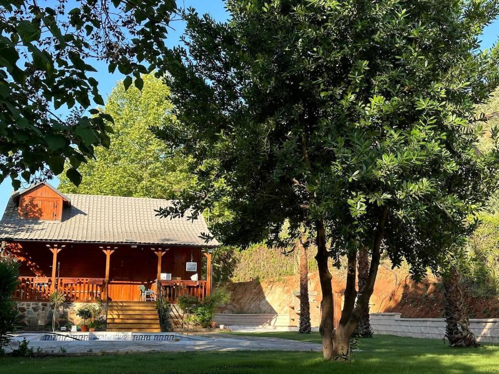 a house with a tree in front of it at Casa de madera El Vado in Villanueva del Arzobispo