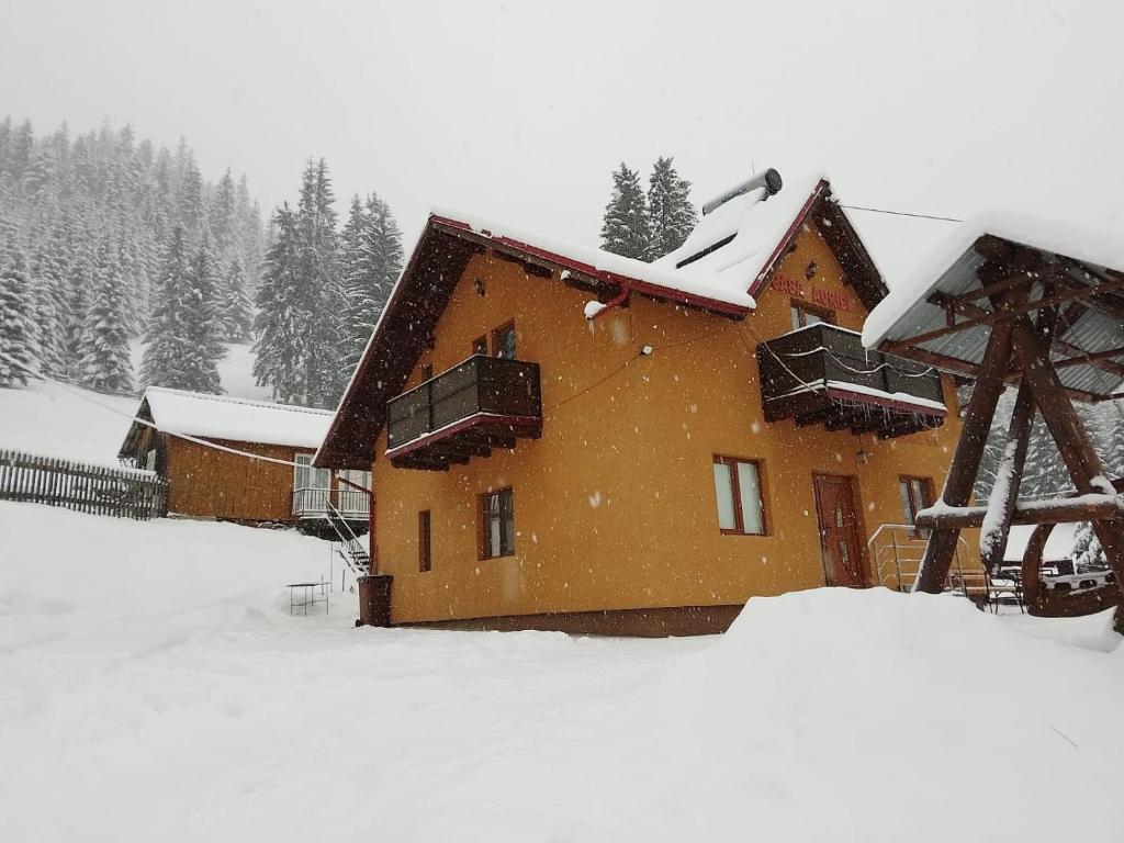 Billede fra billedgalleriet på Casa Aurici Vatra Dornei i Vatra Dornei