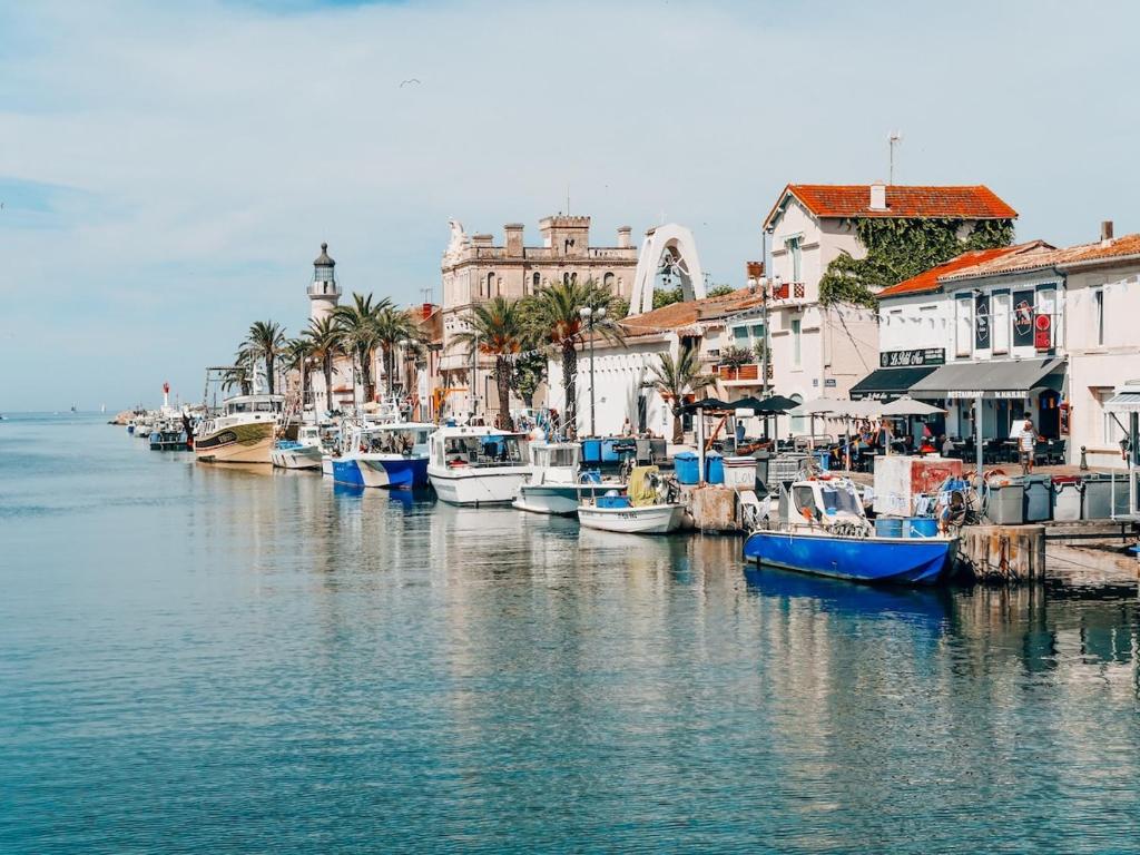 a group of boats are docked in a harbor at Stéphanie in Remoulins