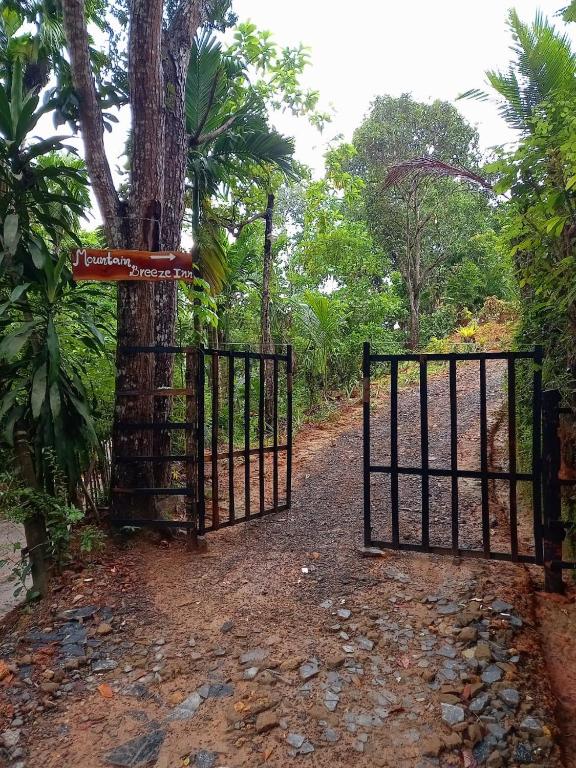 a gate leading to a forest with a tree at Mountain Breeze Inn Midigama in Midigama East