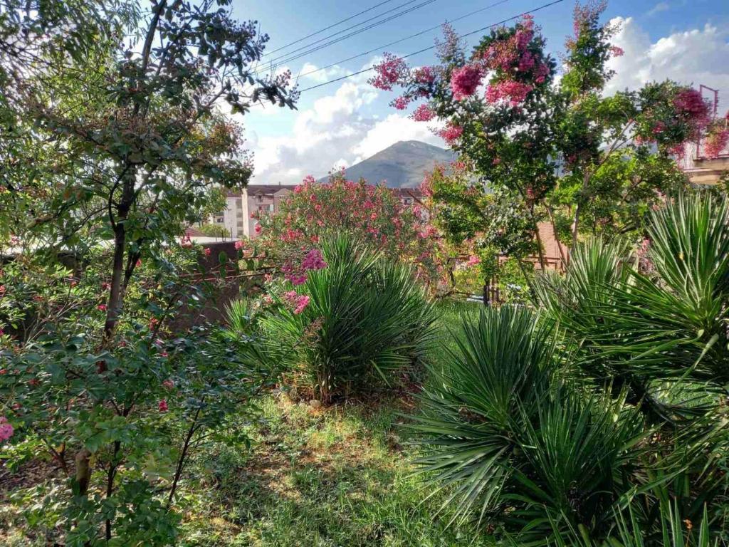 een tuin met bomen en planten in een stad bij Apartman Ipak Se Okrece in Trebinje