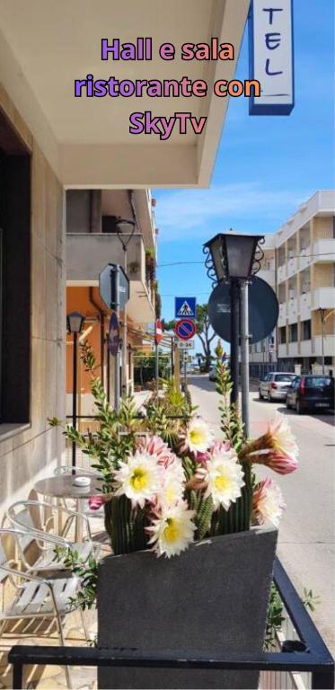a planter filled with flowers on the side of a street at Hotel Blurelda in Silvi Marina