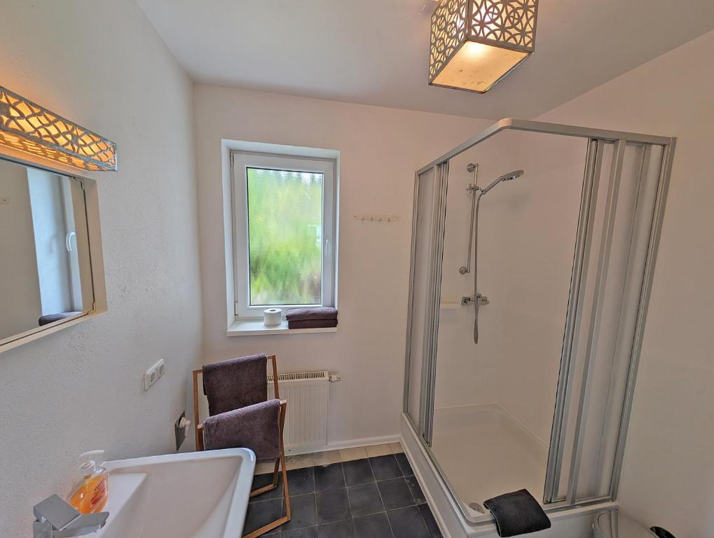 een badkamer met een douche en een wastafel bij Gästehaus Loreley - Alte Heerstrasse in Fellen