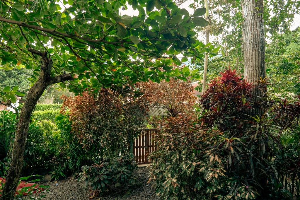 Cabañas Tucan Eco Hotel