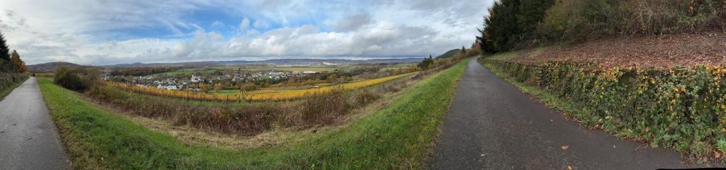 a long road with a field of crops on the side at Ferienwohnung Rebennah - modern - Freisitz - Küche - ideal für Monteure in Platten